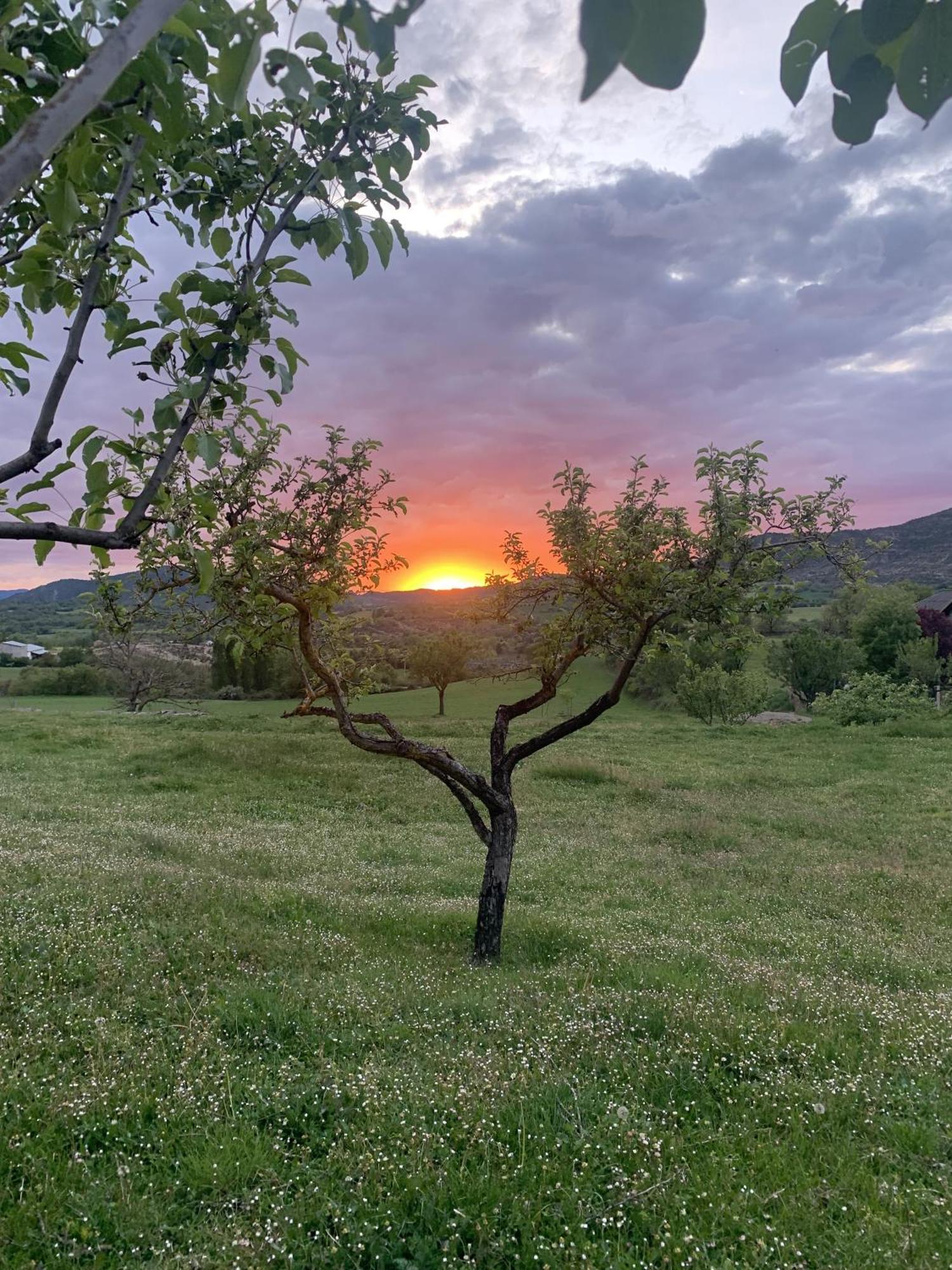Vila Regalate Paz Estallo Exteriér fotografie
